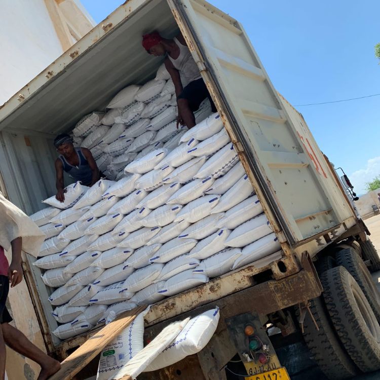 Sailani Shipping Operations 10